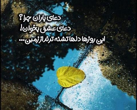 عکس در مورد باران باریدن