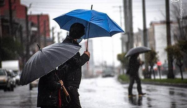 عکس باران در بهار