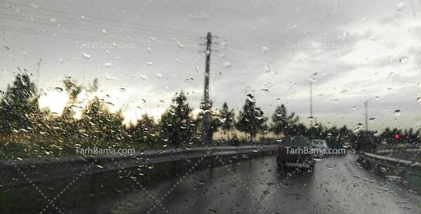 عکس باران در بهار