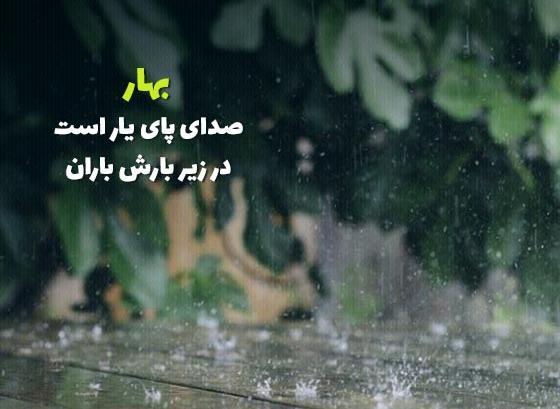 عکس باران در بهار