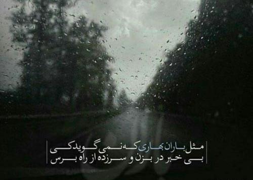 عکس باران در بهار
