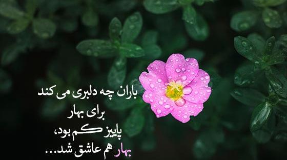 عکس باران در بهار