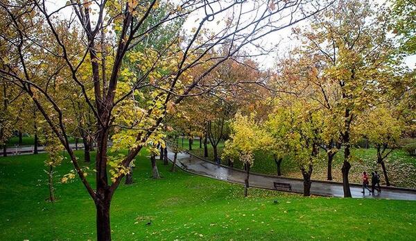 عکس باران در بهار