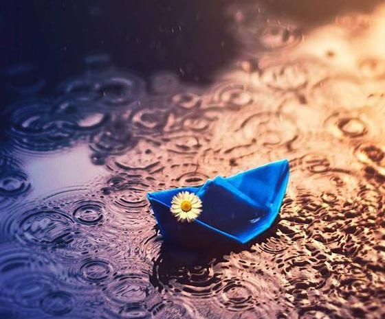 عکس باران تصویر زمینه