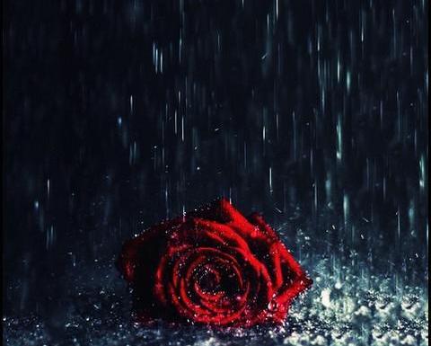 عکس باریدن باران برای پروفایل