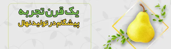 بهاره گلابی عکس