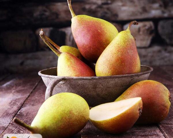 بهاره گلابی عکس