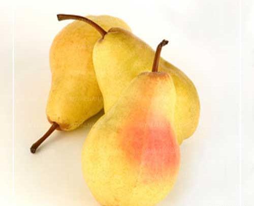 بهاره گلابی عکس