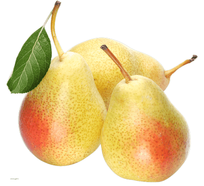 بهاره گلابی عکس