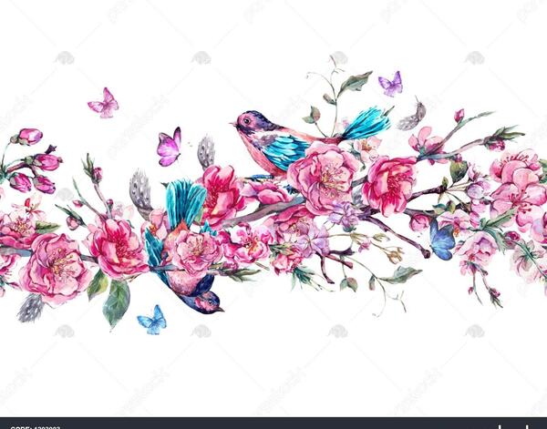 بهاره گلابی عکس
