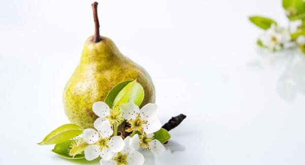 بهاره گلابی عکس