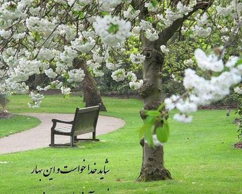 عکس پروفایل بهاره