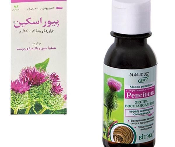 عکس گیاه بابا آدم
