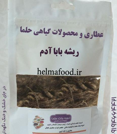 عکس ریشه گیاه بابا آدم
