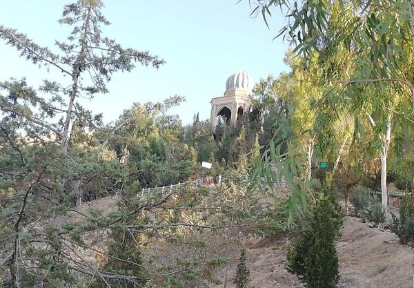 عکس بابا کوهی شیراز