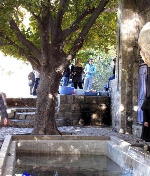 عکس بابا کوهی شیراز
