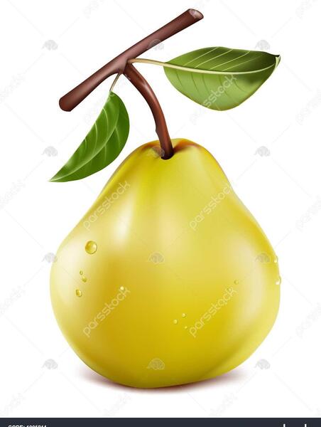عکس بابا گلابی
