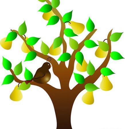 عکس بابا گلابی