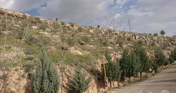 عکس های بابا کوهی شیراز