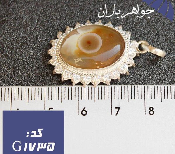عکس باباقوری طلا