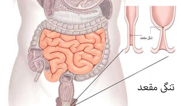 عکس باباسیل نی نی سایت