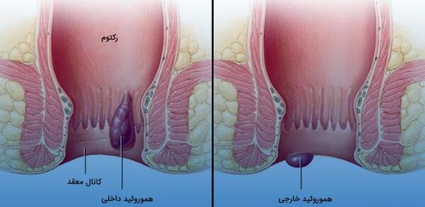عکس باباسیل نی نی سایت