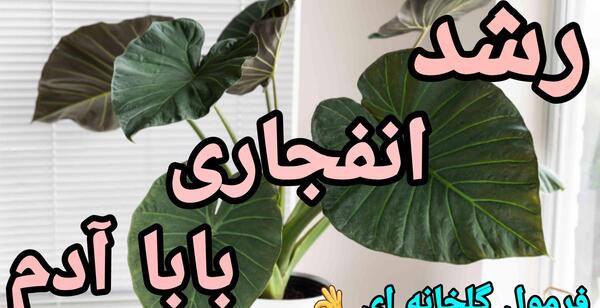 عکس بابا آدم بزرگ