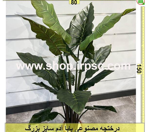 عکس بابا آدم بزرگ