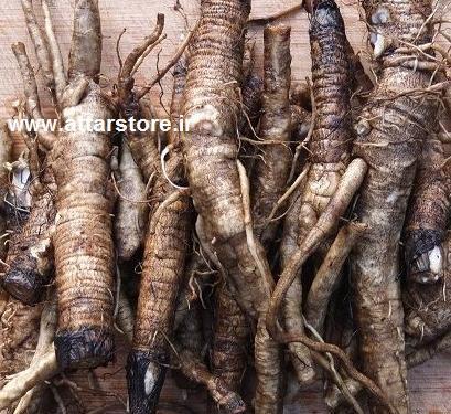 عکسهای گیاه بابا آدم