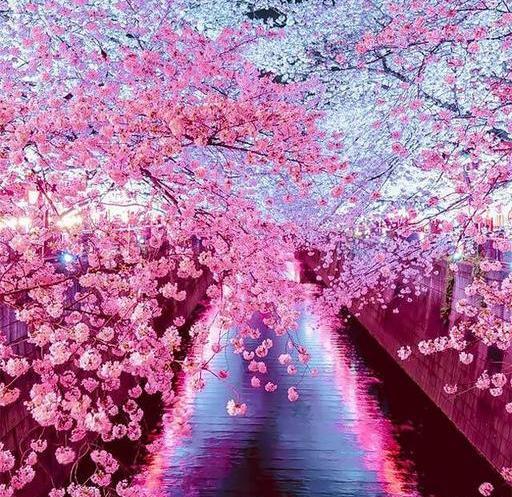 عکس هایی از بهار طبیعت