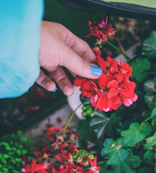 عکس بهار دخترونه برای پروفایل