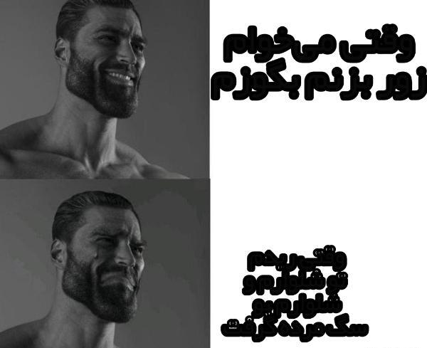 عکس آرسام خر