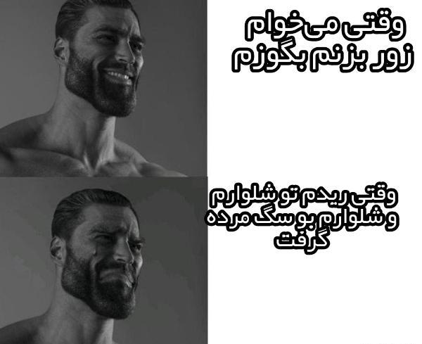 عکس آرسام خر