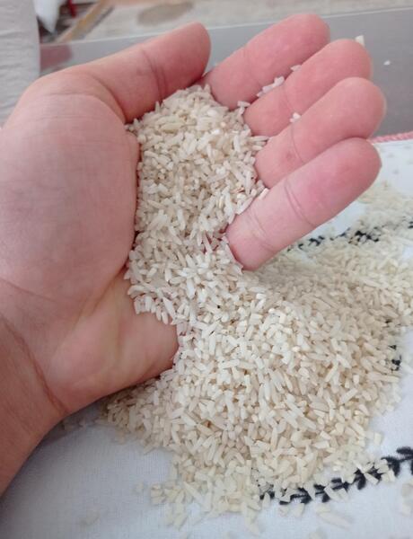 عکس آراد هاشمی