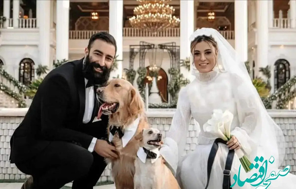 عکس آراد هاشمی