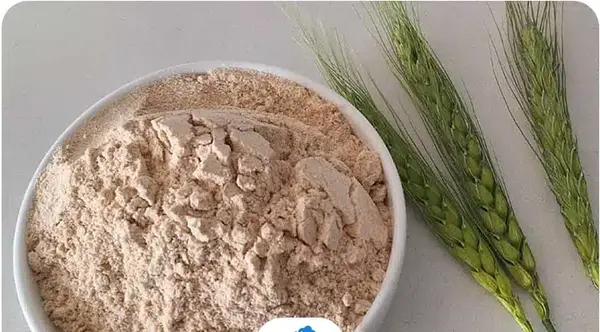عکس ارد جوانه گندم
