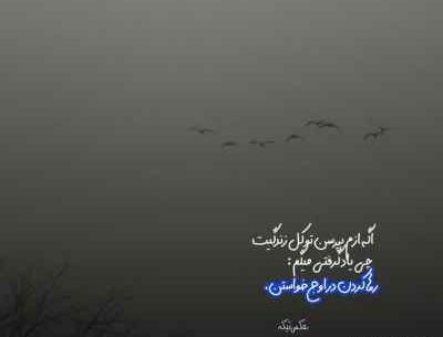 عکس امین فالجی و همسرش