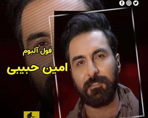 عکس خواننده امین حبیبی