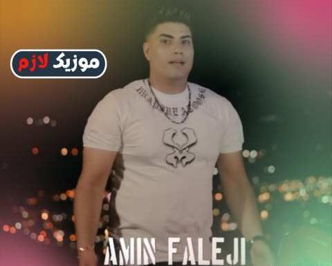 عکس خواننده امین فالجی