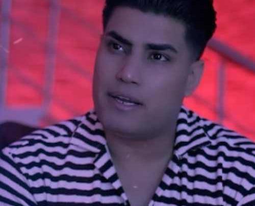 عکس خواننده امین فالجی