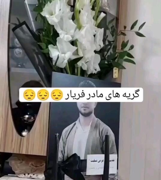 عکس فریار امین پور