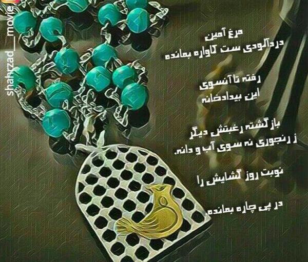 عکس پروفایل امین