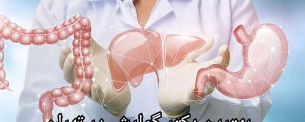 عکس دکتر ناصر امین آبادی