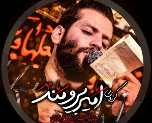 عکس های امیر برومند