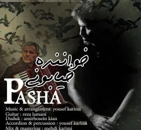 عکس خواننده امیر پاشا