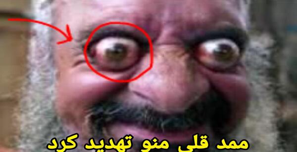 عکس احمد قلی و محمد قلی