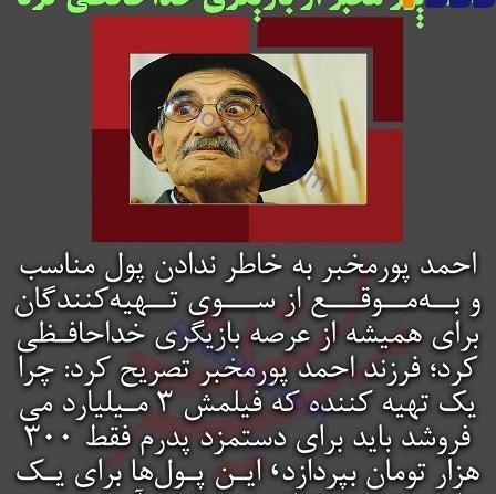 عکس احمد پور مخبر و همسرش