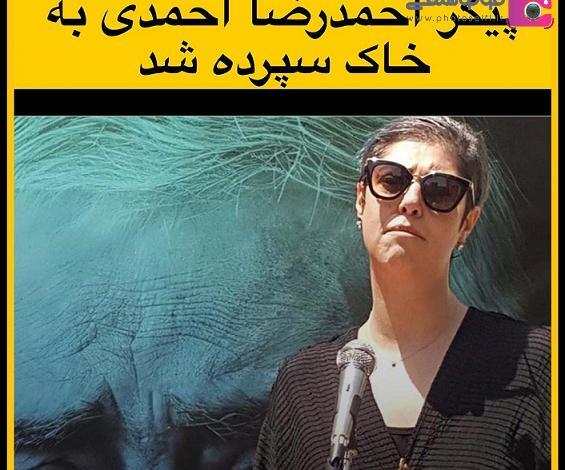 عکس احمدرضا احمدی