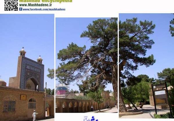 عکس مزار شیخ احمد جامی