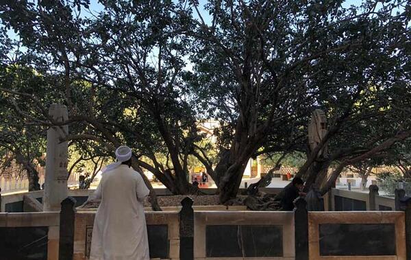 عکس شیخ احمد جامی